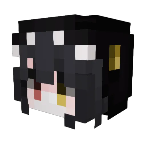 Beebos1 Minecraft avatar head, 3D render