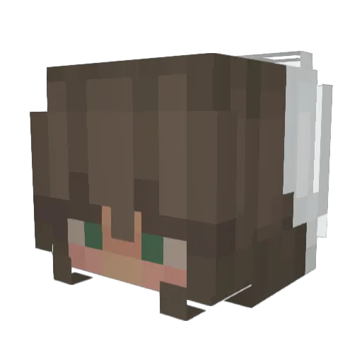 Beebs2theBobs Minecraft avatar head, 3D render