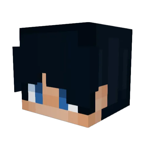 Beedless Minecraft avatar head, 3D render