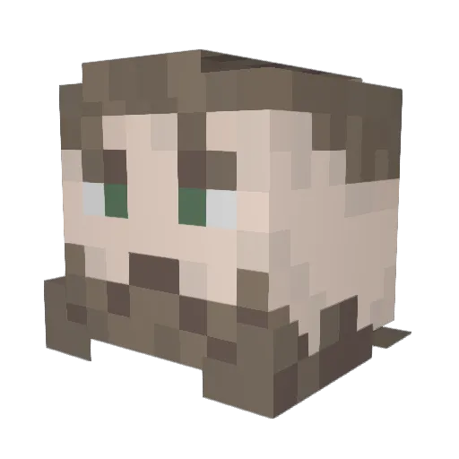 Beedon199 Minecraft avatar head, 3D render
