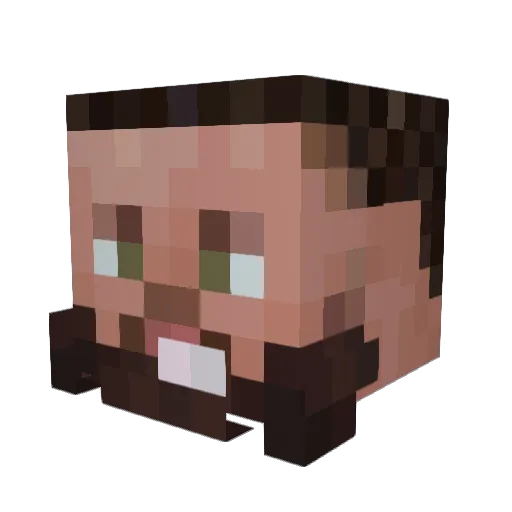 Beedub2010 Minecraft avatar head, 3D render