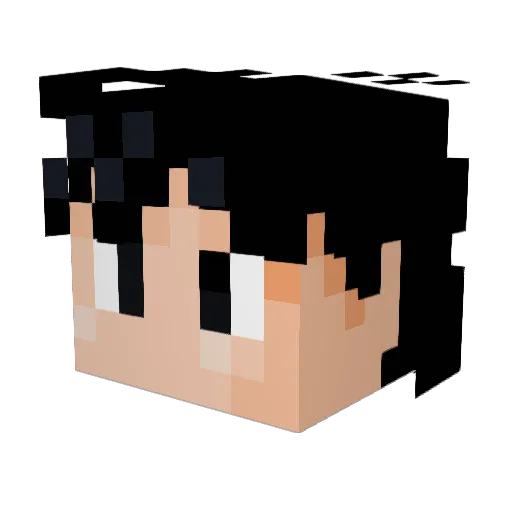Beedy420 Minecraft avatar head, 3D render