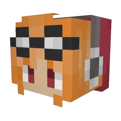 BeedyWool Minecraft avatar head, 3D render