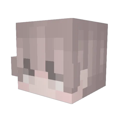 BeeeeNuuuu Minecraft avatar head, 3D render