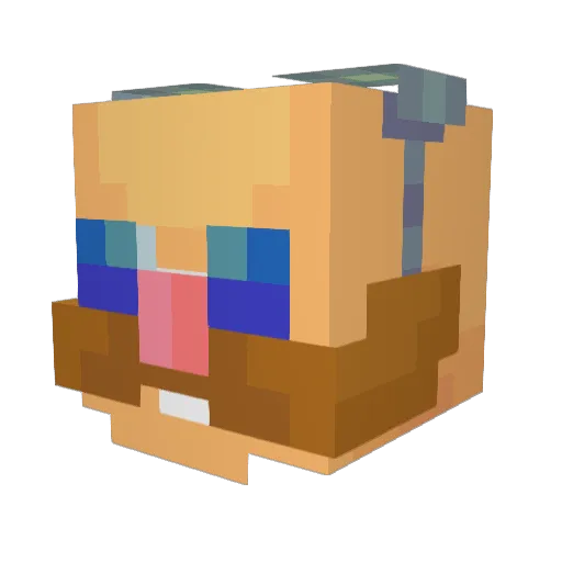BeefBoys Minecraft avatar head, 3D render