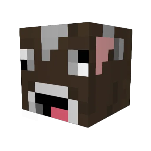 BeefDerpy29 Minecraft avatar head, 3D render