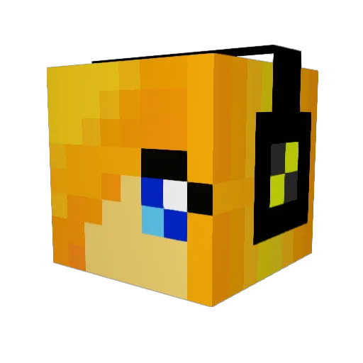 BeefJerkyJerk16 Minecraft avatar head, 3D render