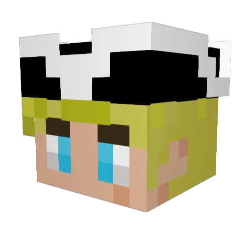 BeefNugget50 Minecraft avatar head, 3D render