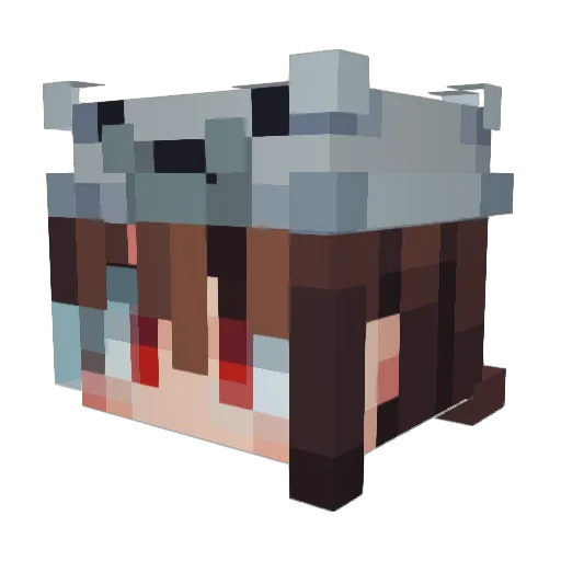 BeefSalad Minecraft avatar head, 3D render