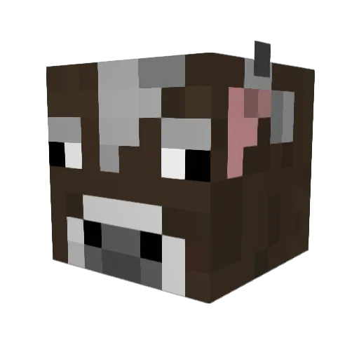 Beef_Block Minecraft avatar head, 3D render