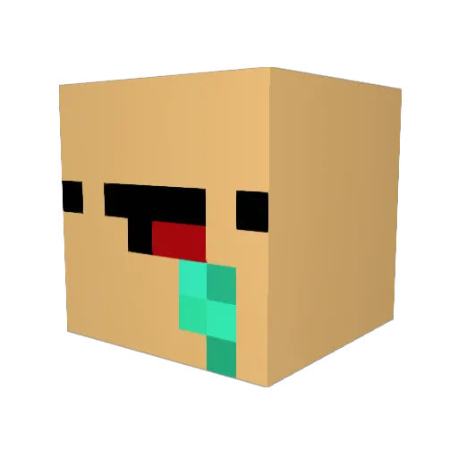 Beef_Jerky101 Minecraft avatar head, 3D render