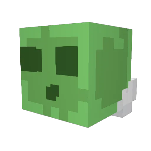 Beef__Boi Minecraft avatar head, 3D render