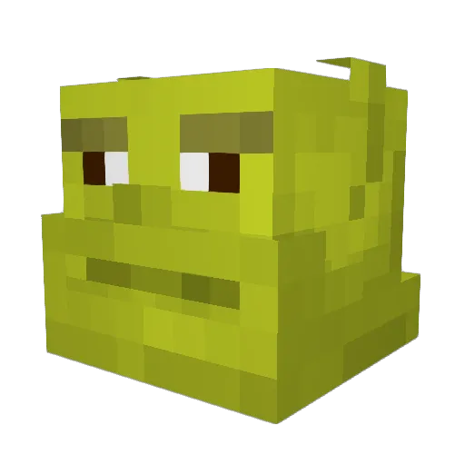 Beefcake4505 Minecraft avatar head, 3D render