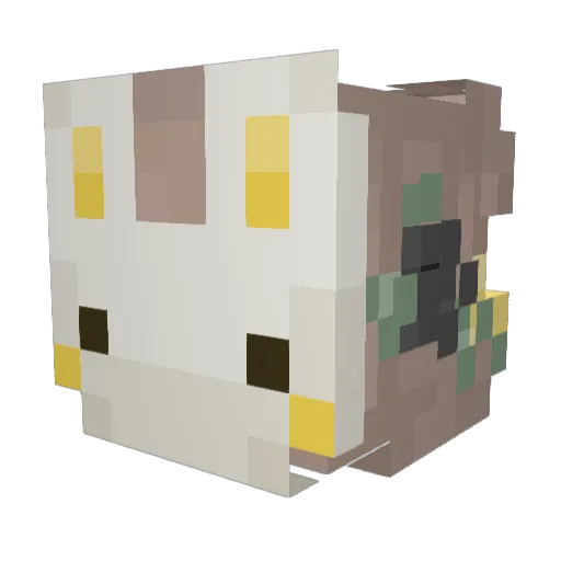 Beeforealsir Minecraft avatar head, 3D render