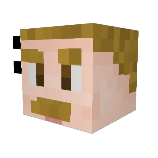 Beefur_ Minecraft avatar head, 3D render