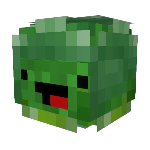 BeefyBroccoli Minecraft avatar head, 3D render