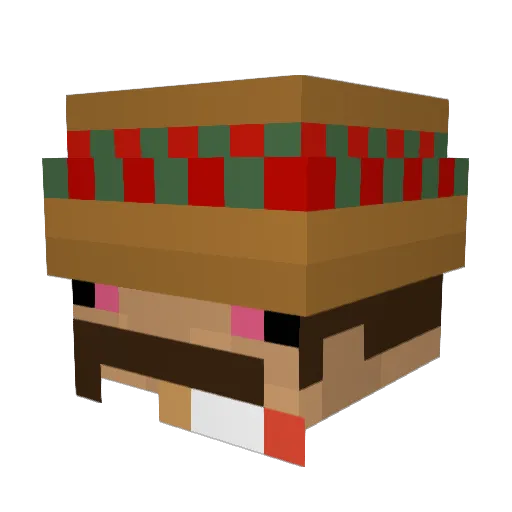 BeefyTortas222 Minecraft avatar head, 3D render