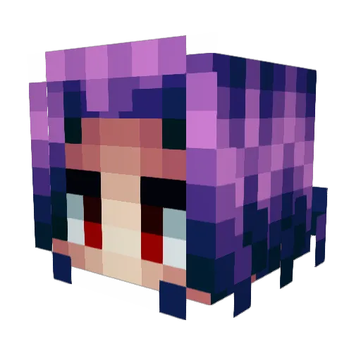 BeegSoupRice Minecraft avatar head, 3D render
