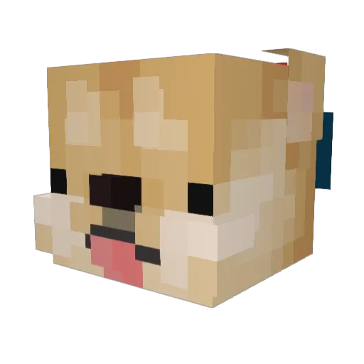 Beeg_Chonker Minecraft avatar head, 3D render
