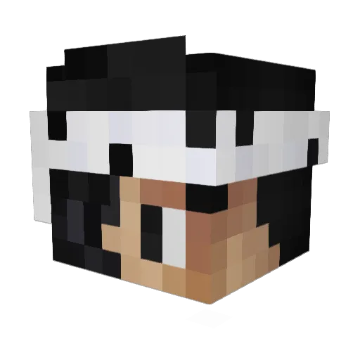 BeeginBanks Minecraft avatar head, 3D render