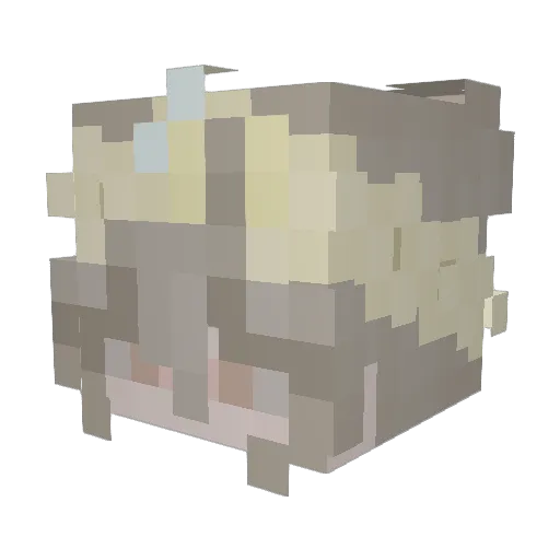 Beegorl12 Minecraft avatar head, 3D render