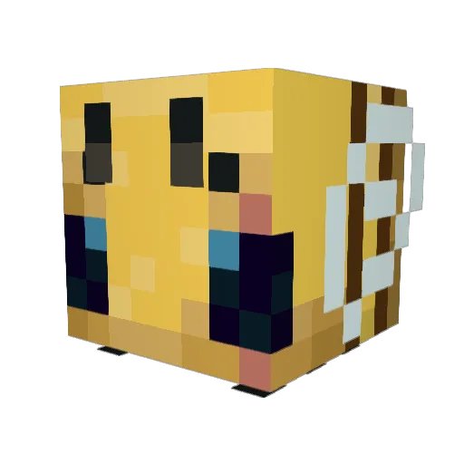 Beehive_Enjoyer Minecraft avatar head, 3D render