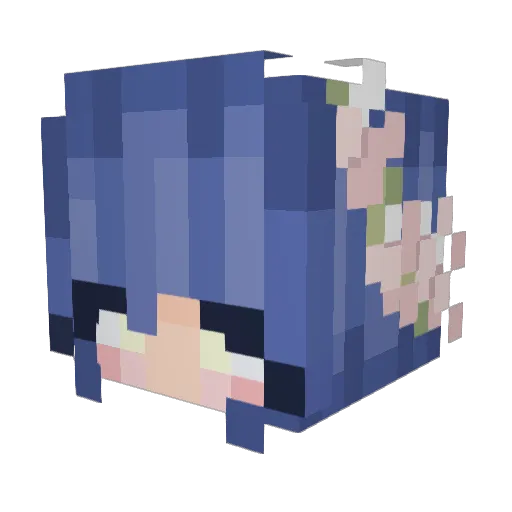 Beejoints Minecraft avatar head, 3D render