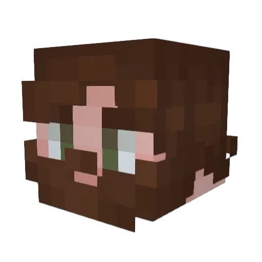 Beekeeper46 Minecraft avatar head, 3D render