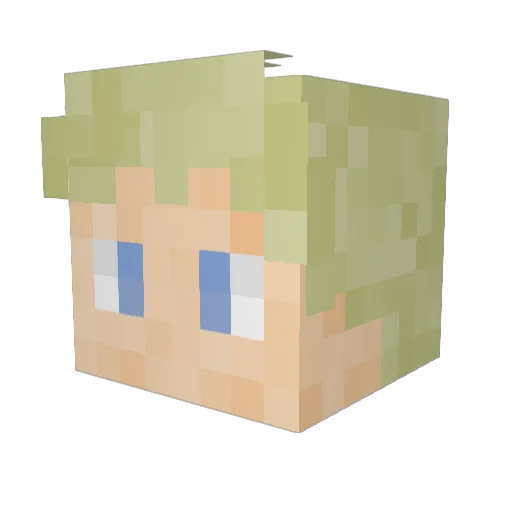 Beekie2006 Minecraft avatar head, 3D render