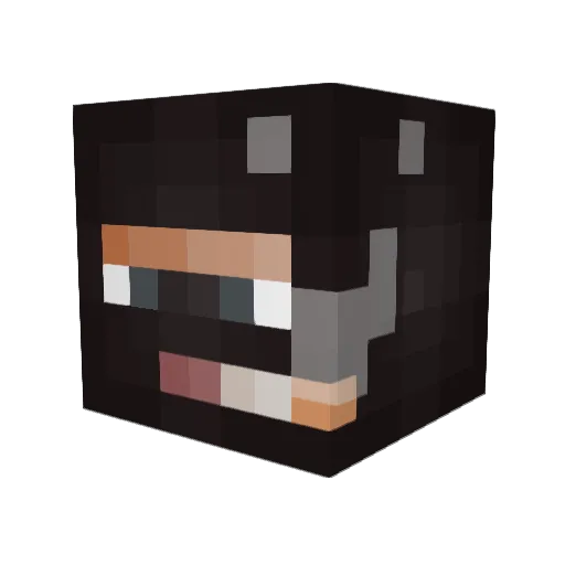 Beekois Minecraft avatar head, 3D render