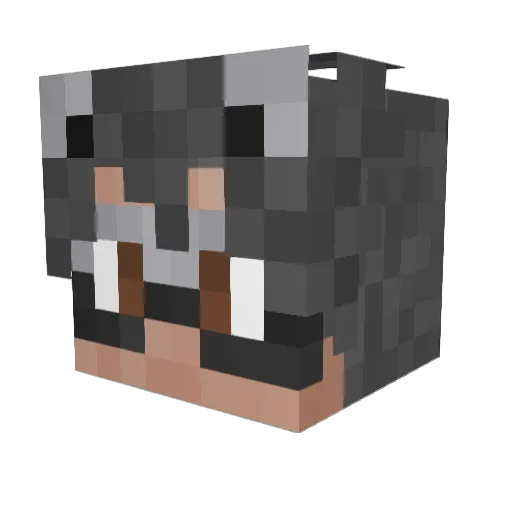 Beekoman Minecraft avatar head, 3D render