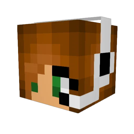 Beekster Minecraft avatar head, 3D render