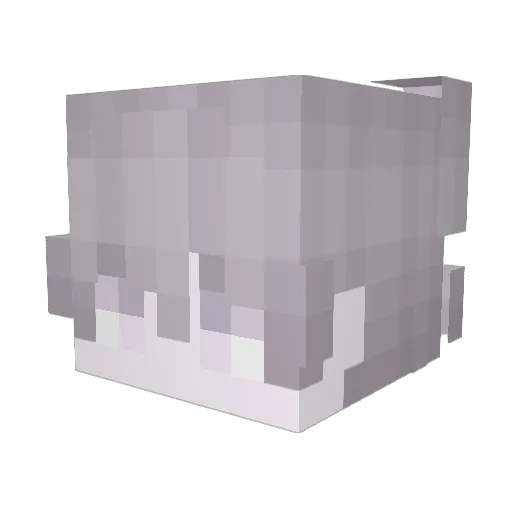 Beelsy Minecraft avatar head, 3D render