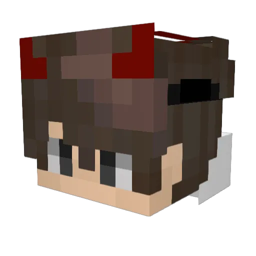 Beeme__ Minecraft avatar head, 3D render