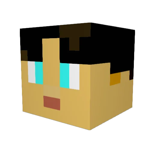 BeenBag_boy Minecraft avatar head, 3D render