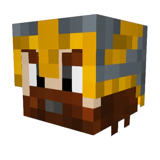 Beengalas Minecraft avatar head, 3D render