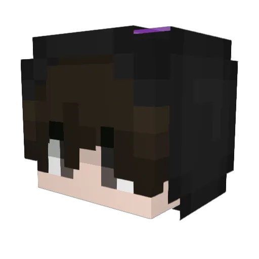 Beennn_ Minecraft avatar head, 3D render
