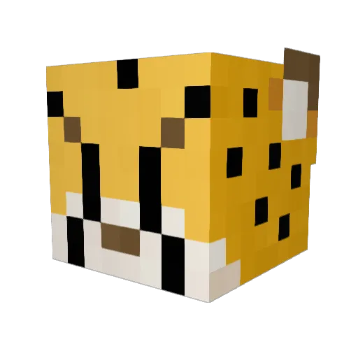 Beenybayby Minecraft avatar head, 3D render