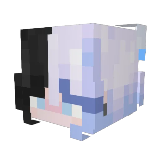 Beenz49 Minecraft avatar head, 3D render