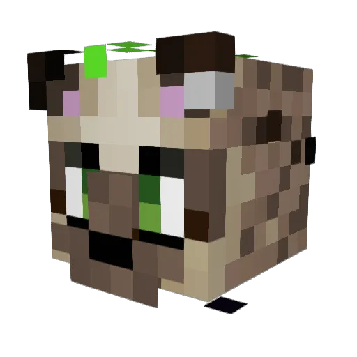 Beenz_Boi Minecraft avatar head, 3D render