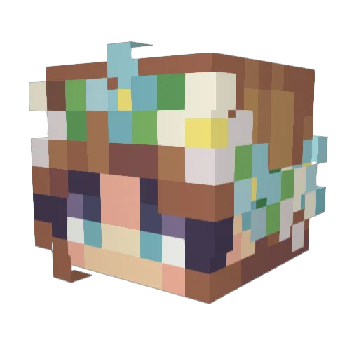Beepbop134 Minecraft avatar head, 3D render