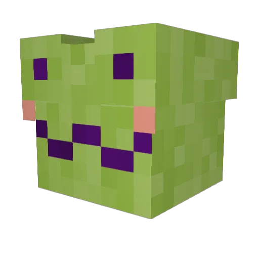 Beepboppickle Minecraft avatar head, 3D render