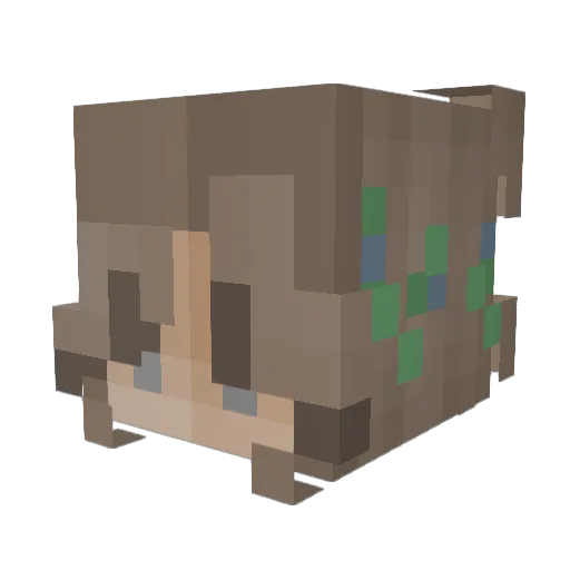 Beepiess Minecraft avatar head, 3D render
