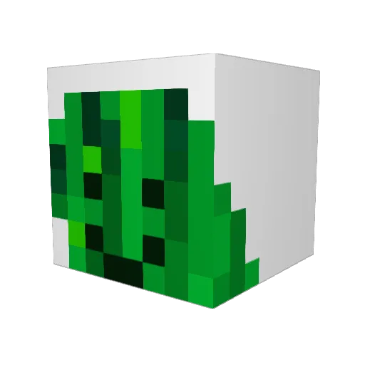 Beepirion Minecraft avatar head, 3D render