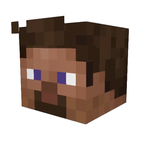 Beepsboy Minecraft avatar head, 3D render