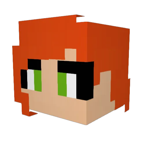 Beeqeen Minecraft avatar head, 3D render