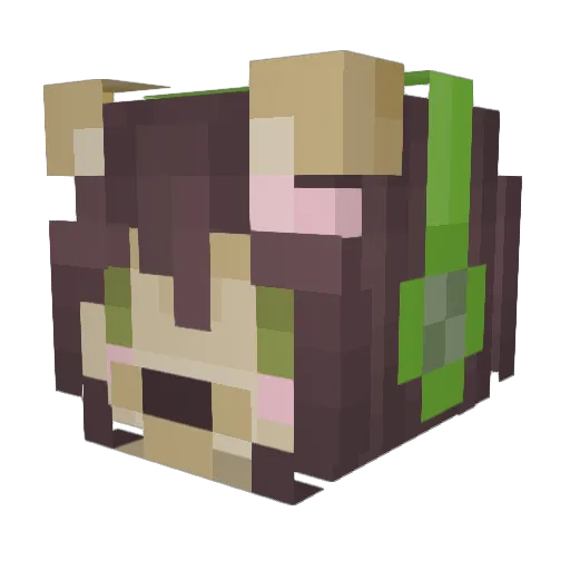 Beeqexx Minecraft avatar head, 3D render