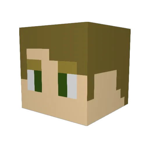 Beer06 Minecraft avatar head, 3D render