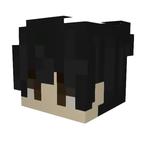BeerBentleys Minecraft avatar head, 3D render