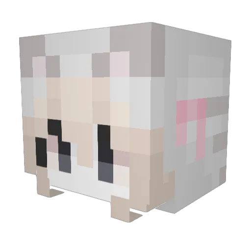 BeerBottle Minecraft avatar head, 3D render